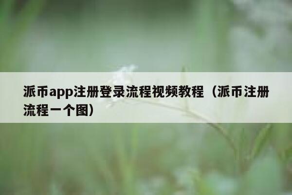 派币app注册登录流程视频教程(派币注册流程一个图) 第1张 派币app注册登录流程视频教程(派币注册流程一个图) 第1张