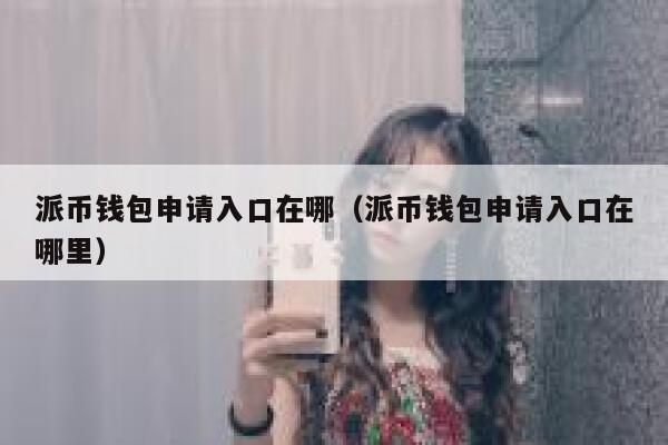 派币钱包申请入口在哪（派币钱包申请入口在哪里） 第1张