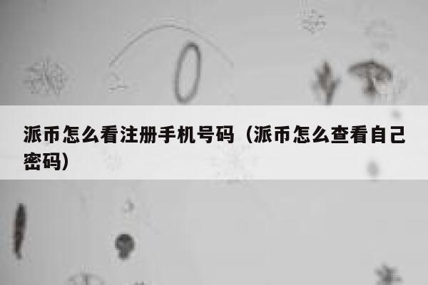派币怎么看注册手机号码(派币怎么查看自己密码) 第1张 派币怎么看注册手机号码(派币怎么查看自己密码) 第1张