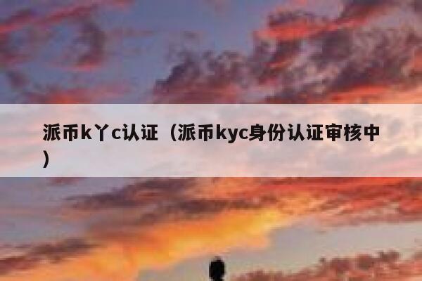 派币k丫c认证(派币kyc身份认证审核中) 第1张 派币k丫c认证(派币kyc身份认证审核中) 第1张