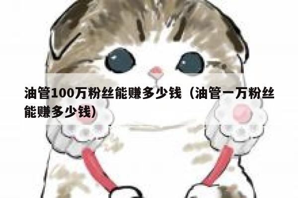 油管100万粉丝能赚多少钱（油管一万粉丝能赚多少钱） 第1张