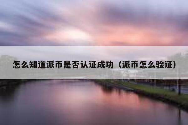 怎么知道派币是否认证成功（派币怎么验证） 第1张