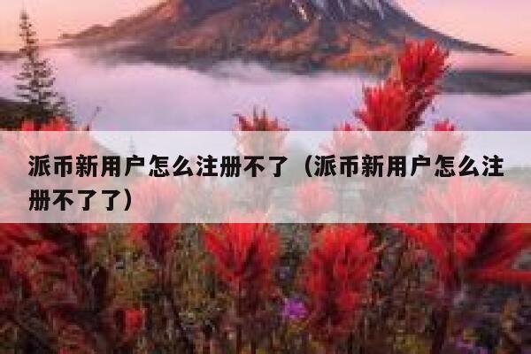 派币新用户怎么注册不了（派币新用户怎么注册不了了） 第1张