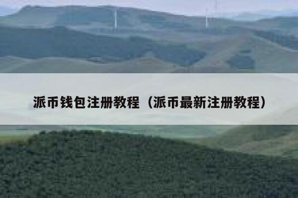 派币钱包注册教程（派币最新注册教程） 第1张