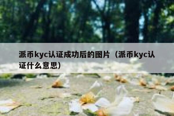 派币kyc认证成功后的图片（派币kyc认证什么意思） 第1张
