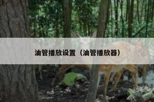 油管播放设置（油管播放器） 第1张