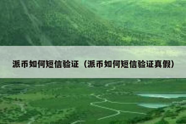派币如何短信验证（派币如何短信验证真假） 第1张