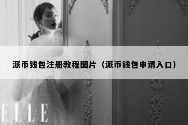 派币钱包注册教程图片(派币钱包申请入口) 第1张 派币钱包注册教程图片(派币钱包申请入口) 第1张