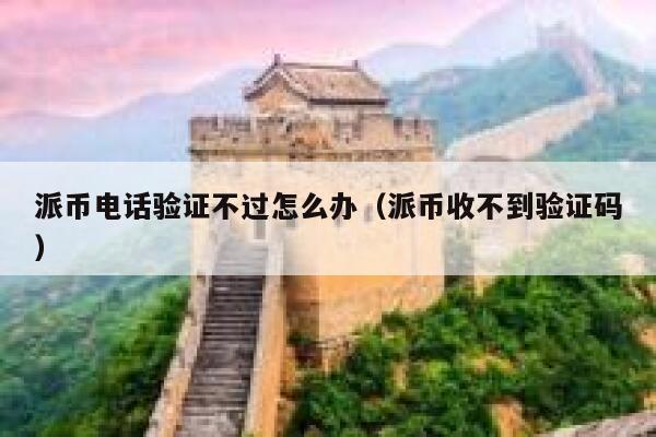 派币电话验证不过怎么办（派币收不到验证码） 第1张
