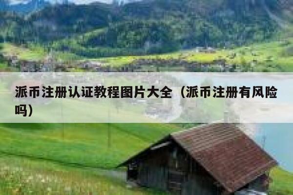 派币注册认证教程图片大全（派币注册有风险吗） 第1张