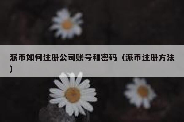 派币如何注册公司账号和密码(派币注册方法) 第1张 派币如何注册公司账号和密码(派币注册方法) 第1张