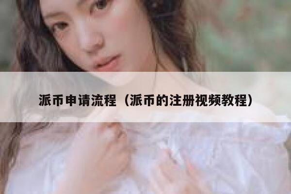 派币申请流程(派币的注册视频教程) 第1张 派币申请流程(派币的注册视频教程) 第1张