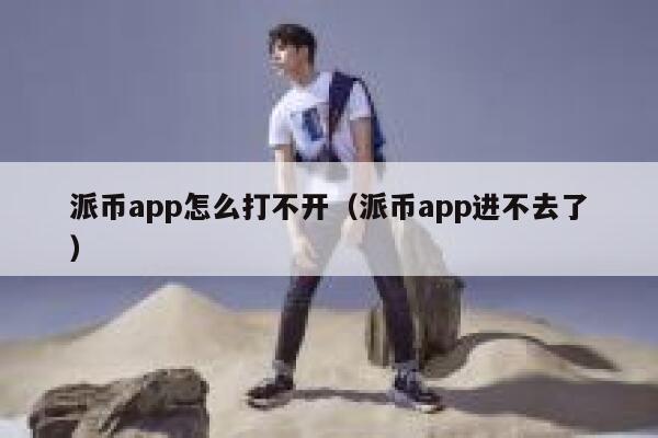 派币app怎么打不开（派币app进不去了） 第1张