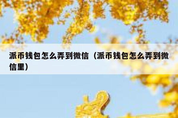 派币钱包怎么弄到微信（派币钱包怎么弄到微信里） 第1张