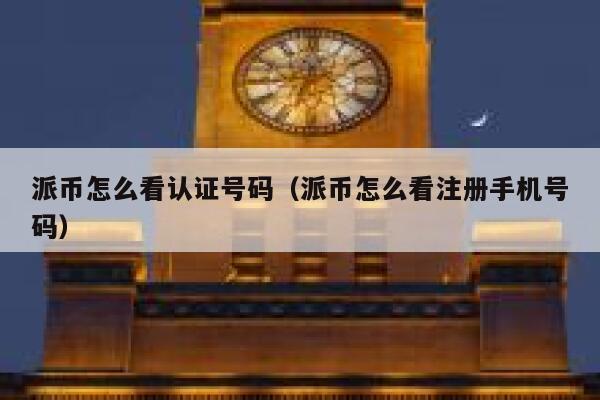派币怎么看认证号码（派币怎么看注册手机号码） 第1张