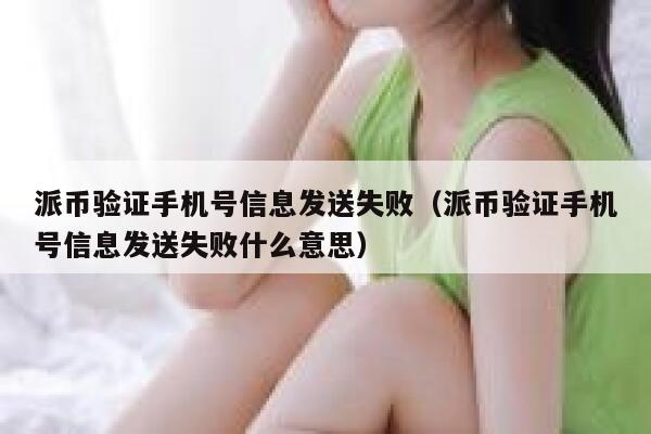 派币验证手机号信息发送失败（派币验证手机号信息发送失败什么意思） 第1张