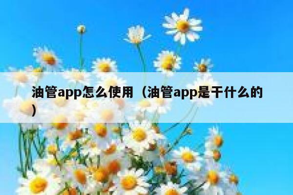 油管app怎么使用（油管app是干什么的） 第1张