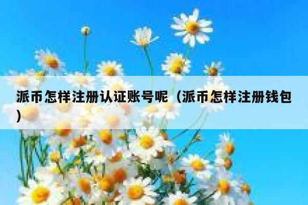 派币怎样注册认证账号呢(派币怎样注册钱包) 第1张 派币怎样注册认证账号呢(派币怎样注册钱包) 第1张