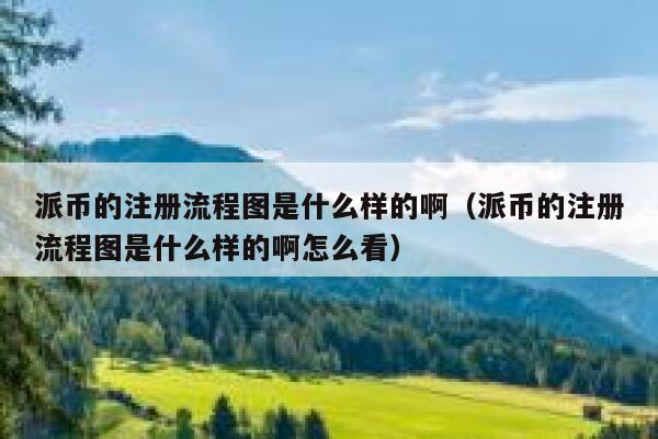 派币的注册流程图是什么样的啊（派币的注册流程图是什么样的啊怎么看） 第1张