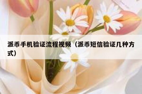 派币手机验证流程视频（派币短信验证几种方式） 第1张