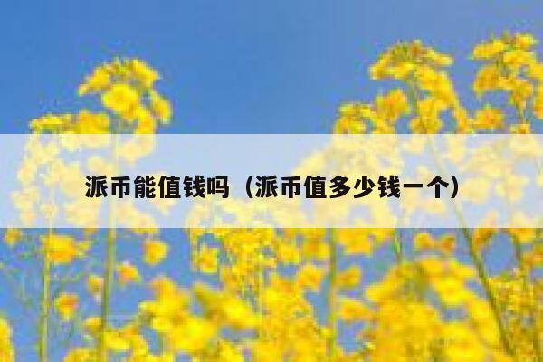 派币能值钱吗（派币值多少钱一个） 第1张