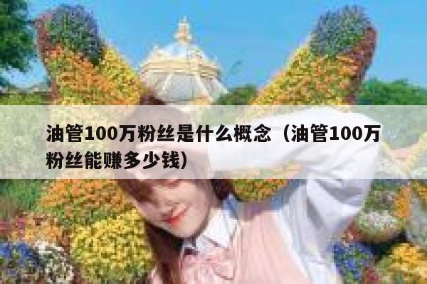 油管100万粉丝是什么概念（油管100万粉丝能赚多少钱） 第1张