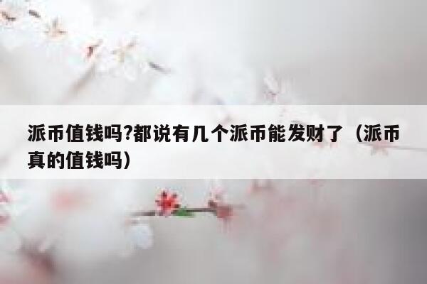 派币值钱吗?都说有几个派币能发财了(派币真的值钱吗) 第1张 派币值钱吗?都说有几个派币能发财了(派币真的值钱吗) 第1张