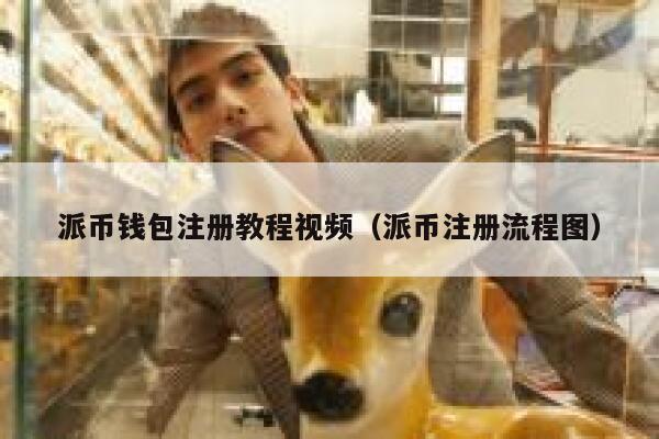 派币钱包注册教程视频（派币注册流程图） 第1张