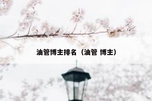 油管博主排名（油管 博主） 第1张