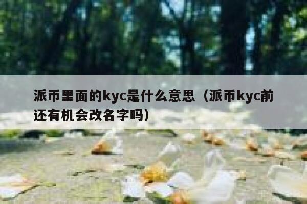派币里面的kyc是什么意思(派币kyc前还有机会改名字吗) 第1张 派币里面的kyc是什么意思(派币kyc前还有机会改名字吗) 第1张