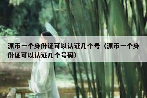 派币一个身份证可以认证几个号（派币一个身份证可以认证几个号码） 第1张