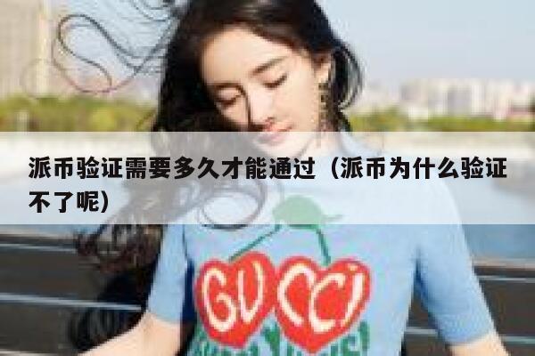 派币验证需要多久才能通过（派币为什么验证不了呢） 第1张