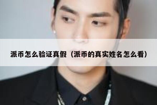 派币怎么验证真假（派币的真实姓名怎么看） 第1张