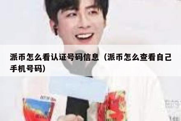 派币怎么看认证号码信息（派币怎么查看自己手机号码） 第1张