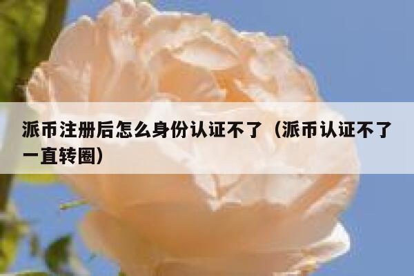 派币注册后怎么身份认证不了（派币认证不了一直转圈） 第1张