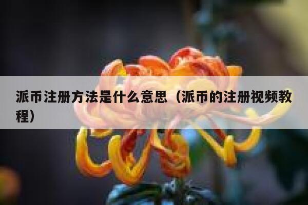 派币注册方法是什么意思(派币的注册视频教程) 第1张 派币注册方法是什么意思(派币的注册视频教程) 第1张