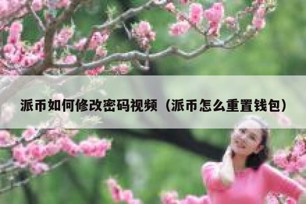 派币如何修改密码视频（派币怎么重置钱包） 第1张