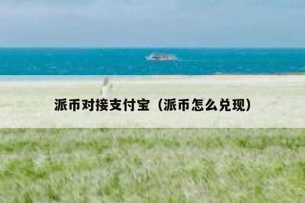 派币对接支付宝（派币怎么兑现） 第1张