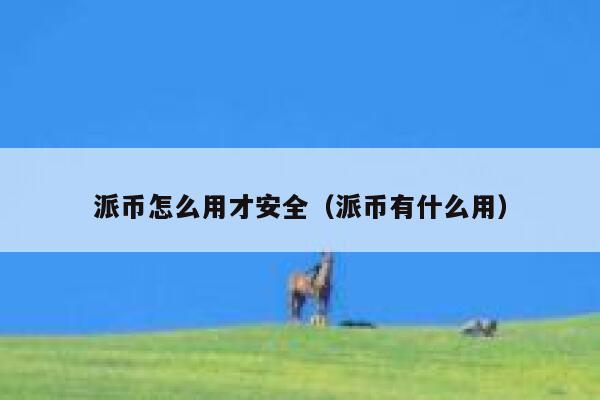 派币怎么用才安全（派币有什么用） 第1张