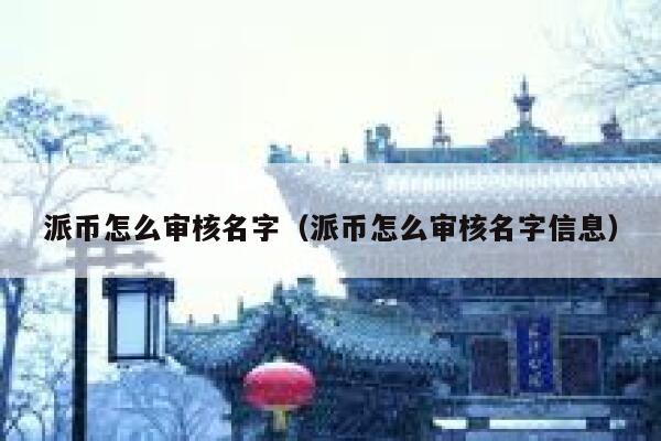 派币怎么审核名字（派币怎么审核名字信息） 第1张