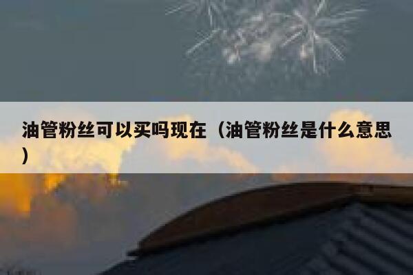 油管粉丝可以买吗现在(油管粉丝是什么意思) 第1张 油管粉丝可以买吗现在(油管粉丝是什么意思) 第1张