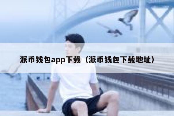 派币钱包app下载（派币钱包下载地址） 第1张