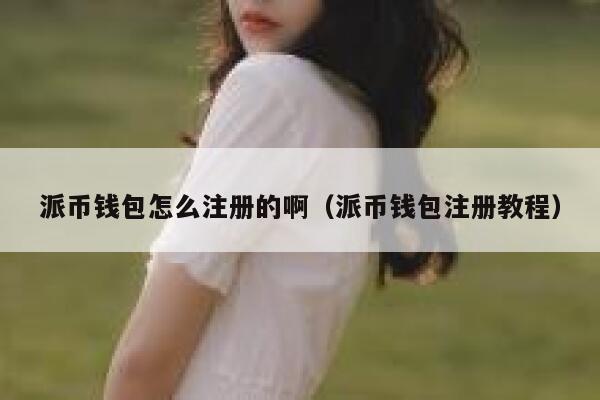 派币钱包怎么注册的啊（派币钱包注册教程） 第1张