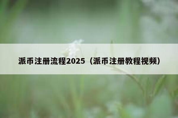 派币注册流程2025（派币注册教程视频） 第1张