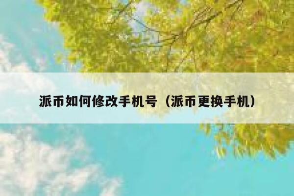 派币如何修改手机号（派币更换手机） 第1张