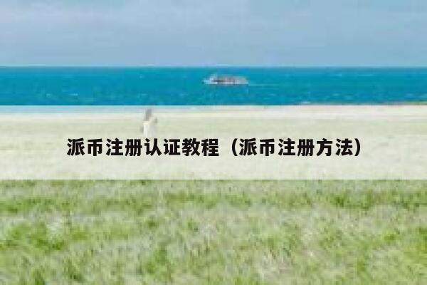 派币注册认证教程(派币注册方法) 第1张 派币注册认证教程(派币注册方法) 第1张