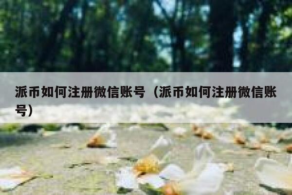 派币如何注册微信账号（派币如何注册微信账号） 第1张