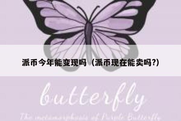 派币今年能变现吗（派币现在能卖吗?） 第1张