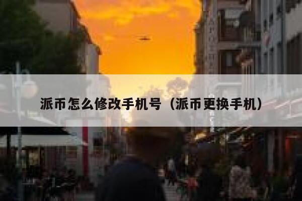 派币怎么修改手机号（派币更换手机） 第1张