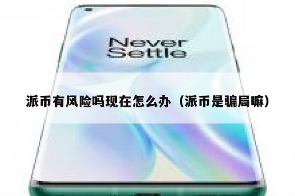 派币有风险吗现在怎么办（派币是骗局嘛） 第1张